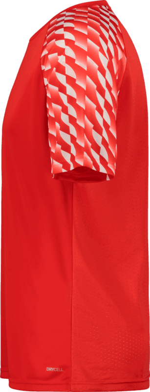 Puma, TEAMLIGA26 JERSEY JR-92617, Unknown 0