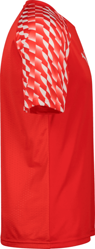 Puma, TEAMLIGA26 JERSEY JR-92617, Unknown 0
