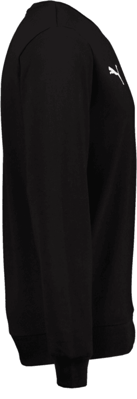 Puma, T Goal Cas Crew Sweat-94546, Unknown 0