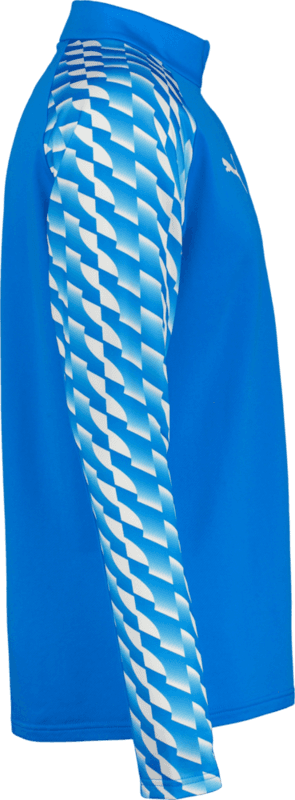 Puma, TEAMLIGA26 TRAINING 1/4 ZIP TOP JR-94579, Unknown 0
