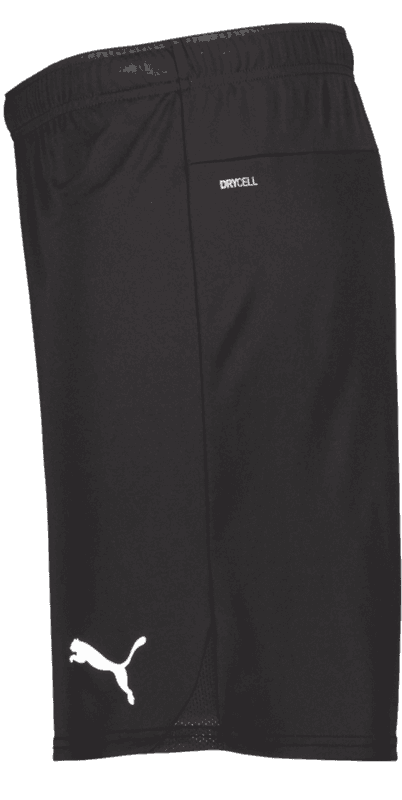 Puma, T Goal Shorts-97908, Unknown 0