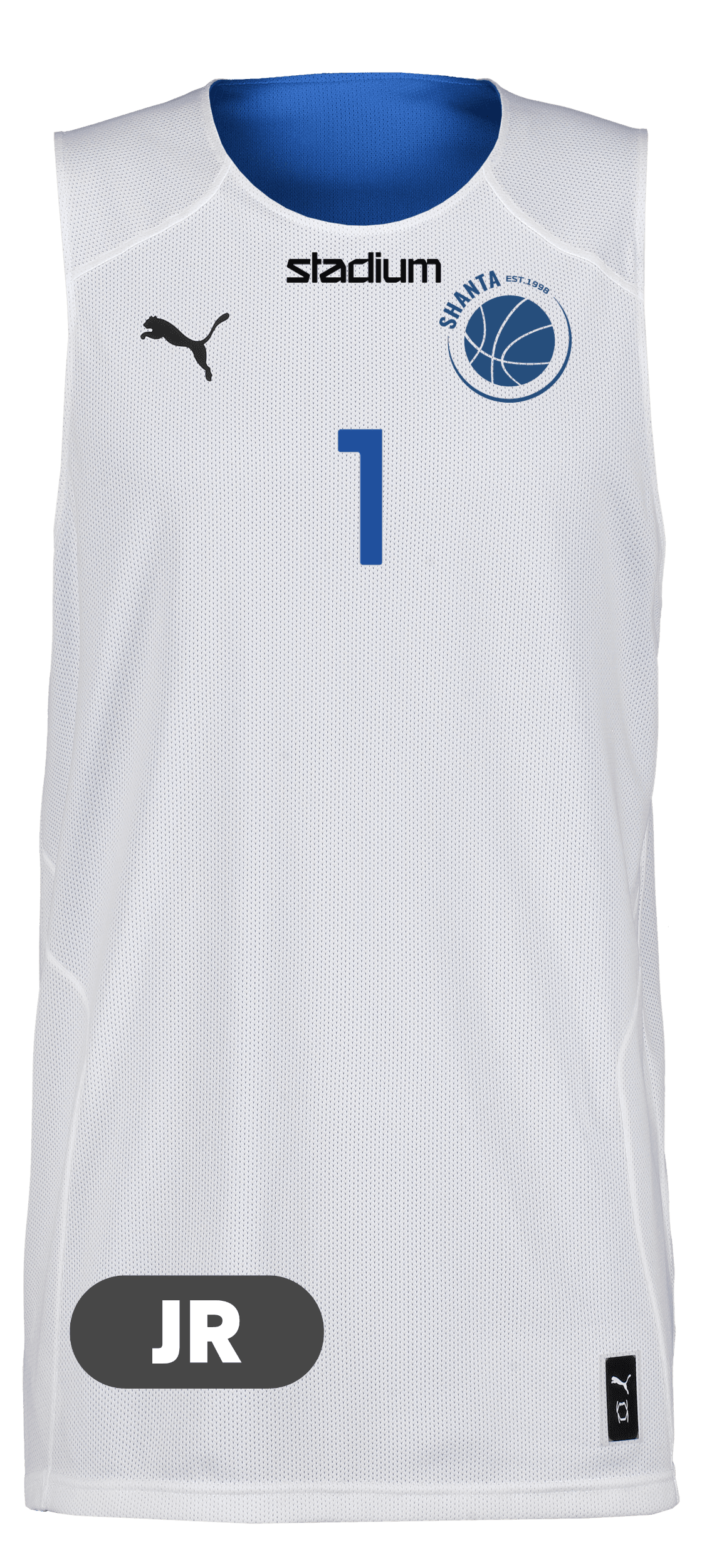 Puma, Hoops Team Junior Reversible Practice Jersey-99720, Unknown 0