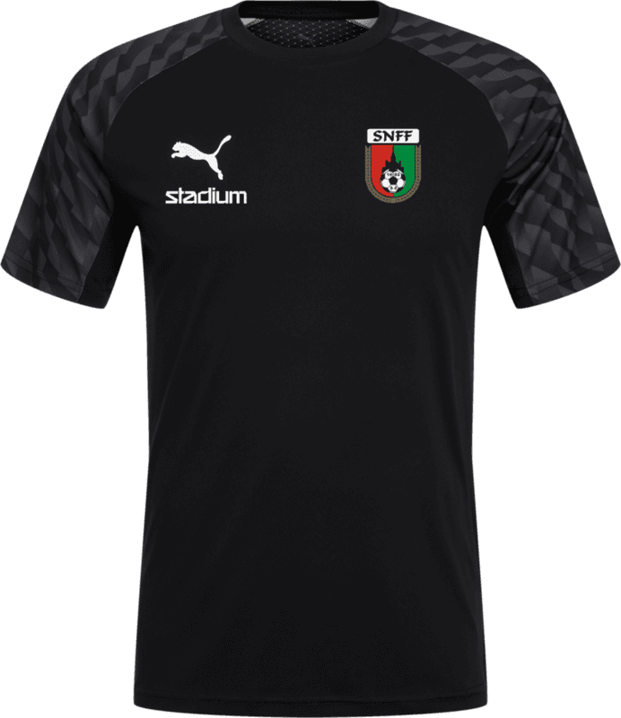 Puma, TEAMLIGA26 JERSEY-105271, Unknown 0