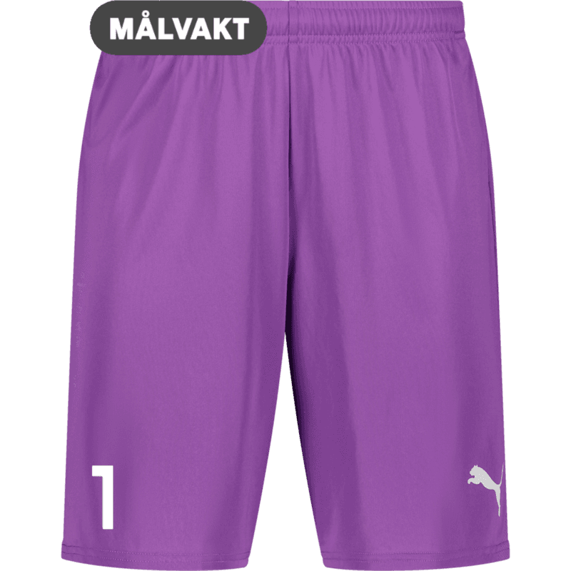 Puma, T Goal Shorts-94589, Unknown 0